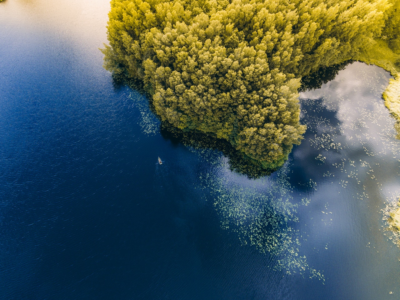 Varpaisjärvi uudelle asukkaalle