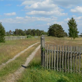 Varpaisjärven taajama